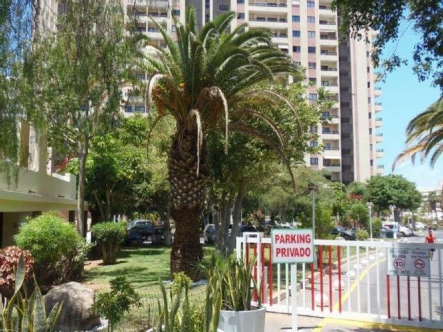 Ocean House & Perfect For You Costa Adeje  Exterior foto